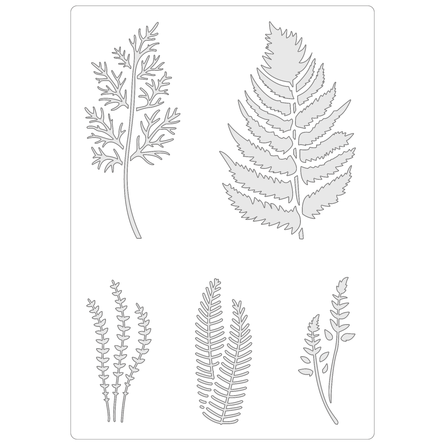 Reusable Stencil - Professional Quality - Fern Collection #2 - Made in the UK - Food Safe Non Adhesive - White Laser Cut PET Material for Cakes, Cookies, Coffees, Serving Plates