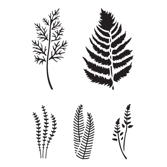 Reusable Stencil - Professional Quality - Fern Collection #2 - Made in the UK - Food Safe Non Adhesive - White Laser Cut PET Material for Cakes, Cookies, Coffees, Serving Plates