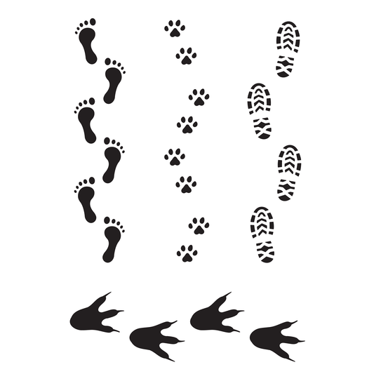 Reusable Stencil - Professional Quality - Footprint Borders - Made in the UK - Food Safe Non Adhesive -  White Laser Cut PET Material for Cakes, Cookies, Coffees, Serving Plates